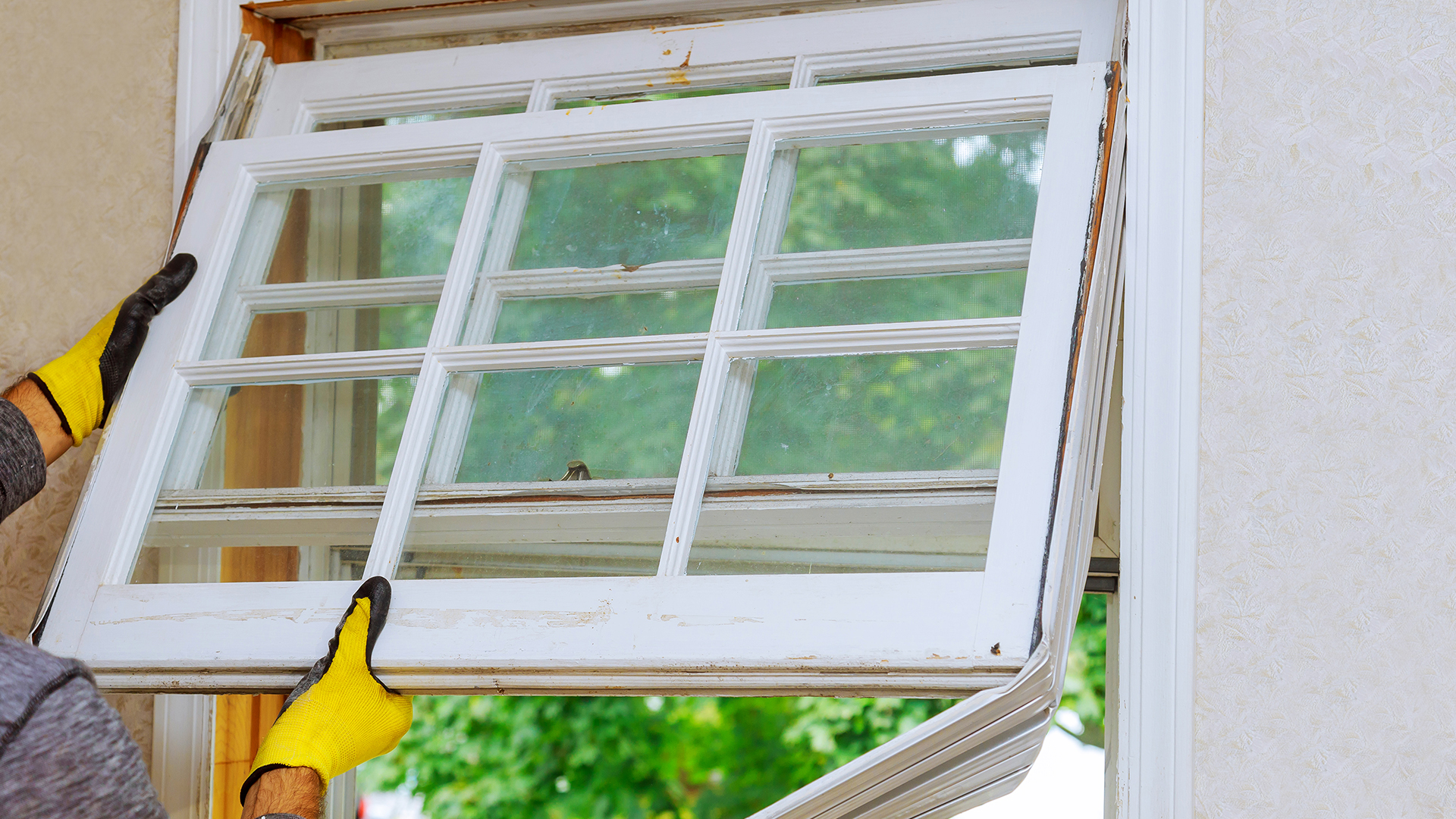 Think You Need New Windows? Think Again.
